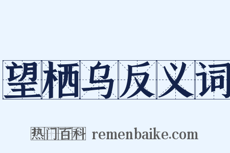 望栖乌反义词是什么意思的图片